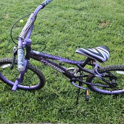 Inspire Bike