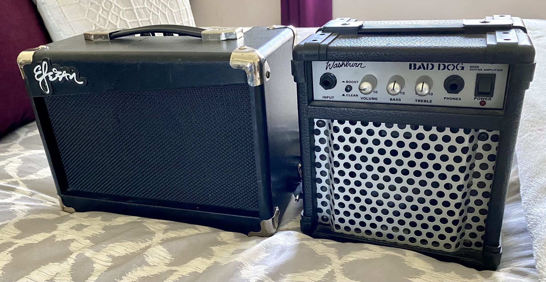 ESTEBAN ELEZAN G-10 GUITAR AMP/WASHBURN BD-8K BAD-DOG GUITAR AMP