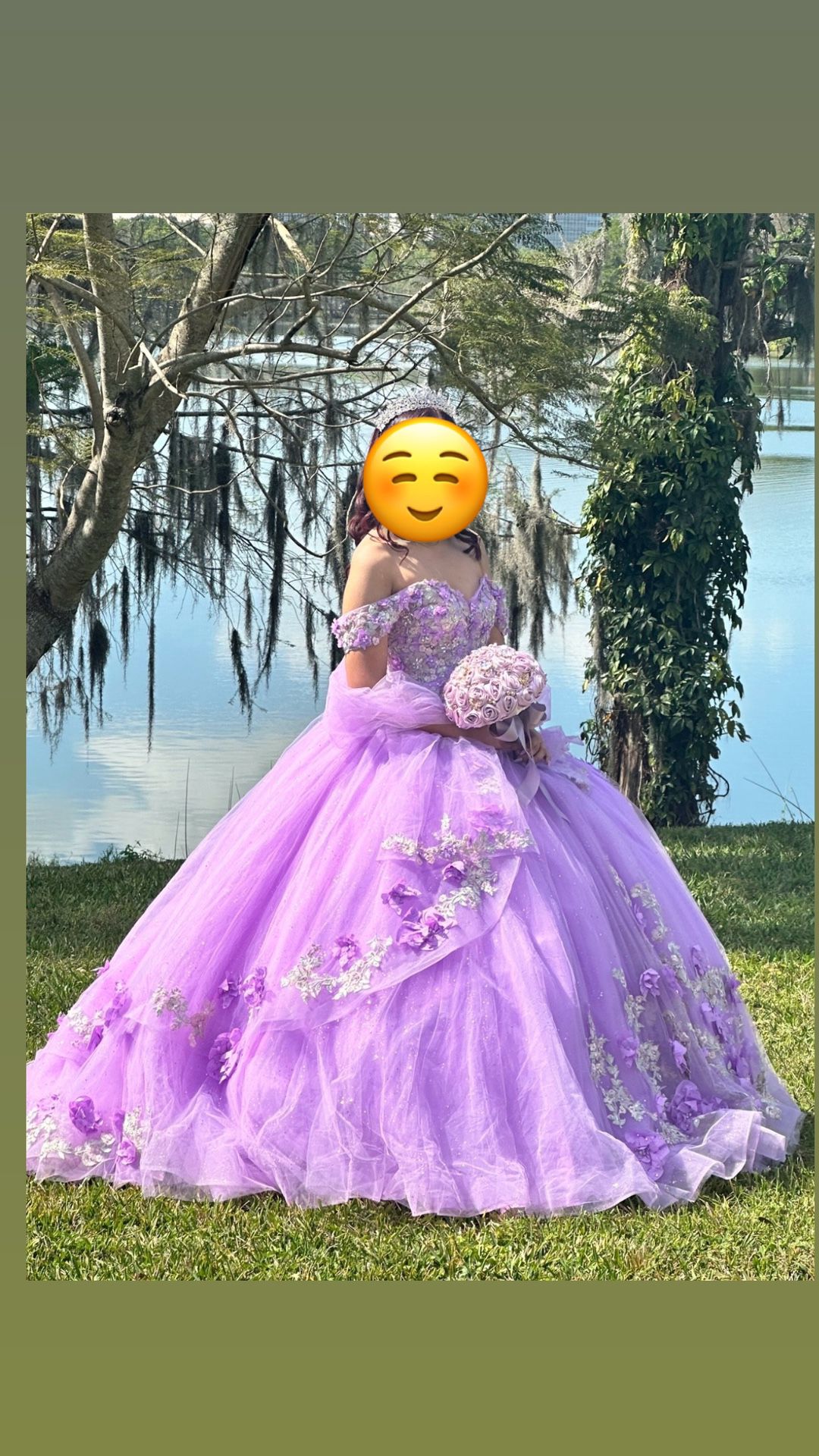 Beautiful Quinceañera Dress 