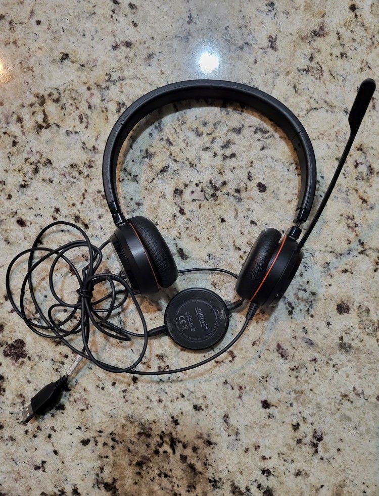 Headphones With Mic