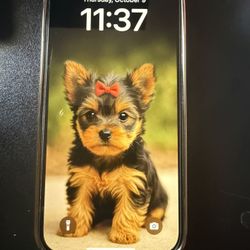 iPhone 14 Pro EXCELLENT condition 