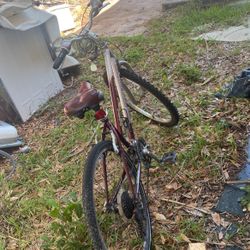 Bicycle 
