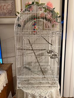 Bird Cage