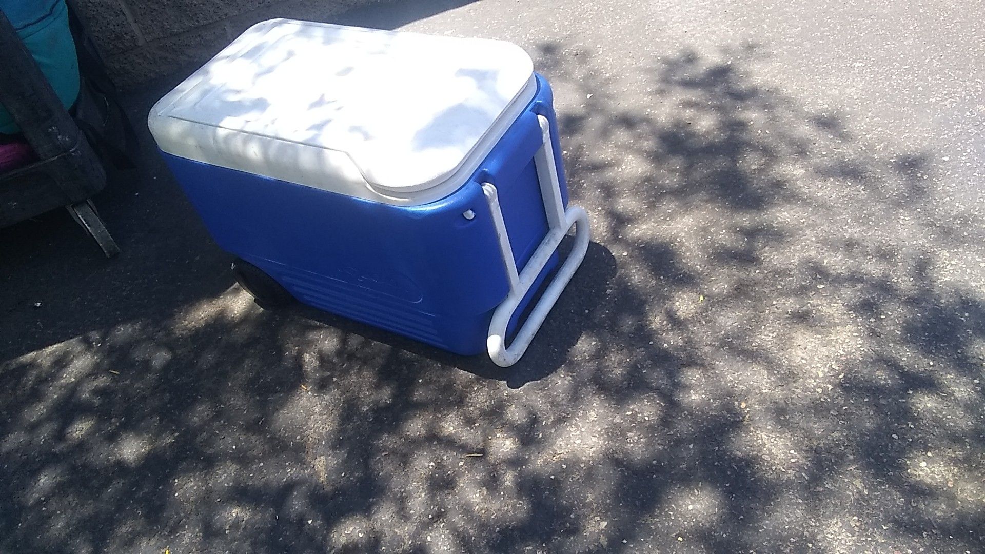 Blue igloo cooler. 36 qrts