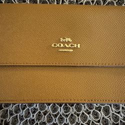 Coach Clutch 