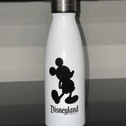 Disneyland Resort Water Bottle