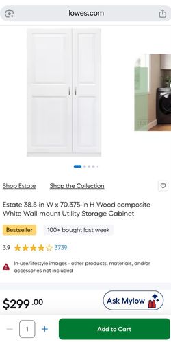 Storage / Armoire Cabinet