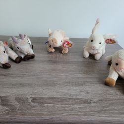 5 Beanie Babies