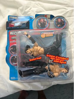 WWF/WWE Jeff hardy & Matt hardy figure