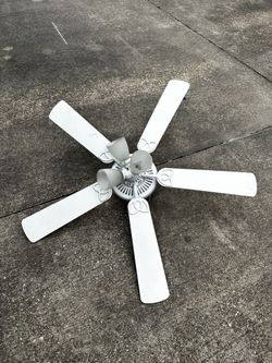 Indoor ceiling fan