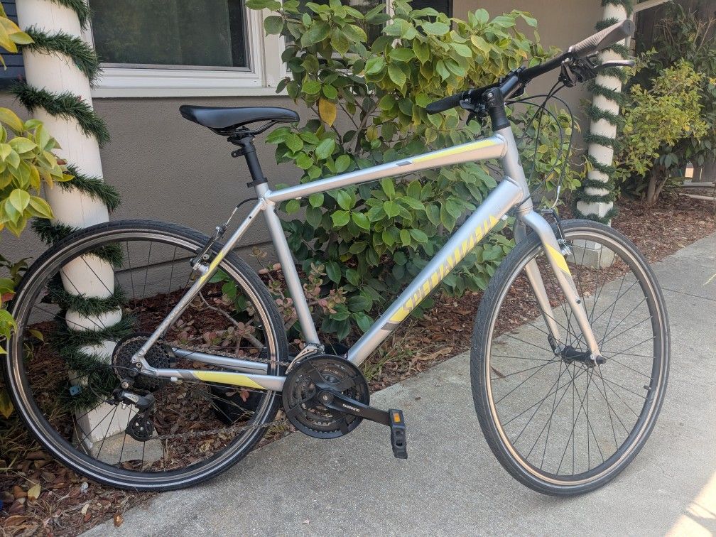 Men's Size Large Specialized Bike