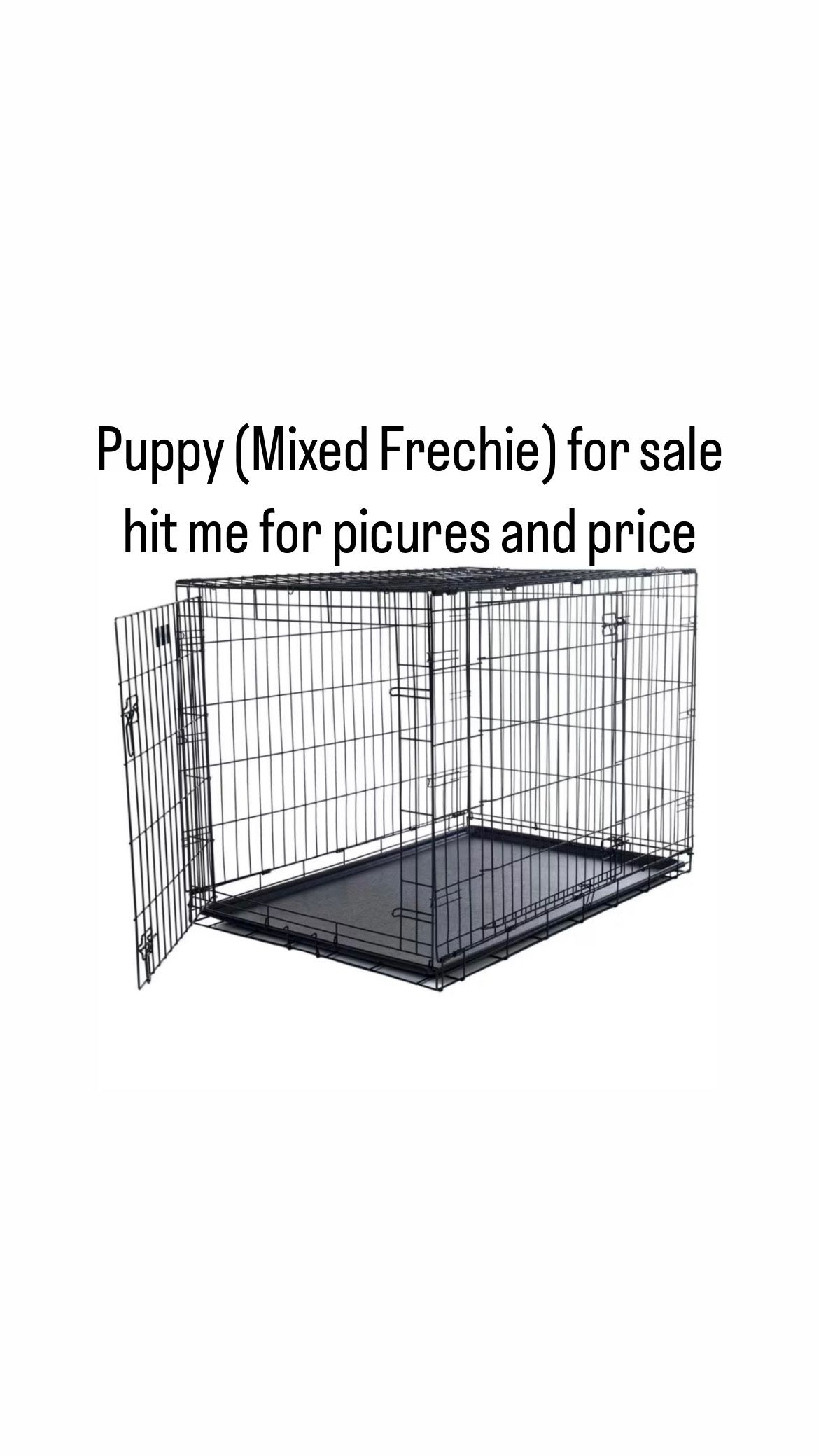 Dog cage