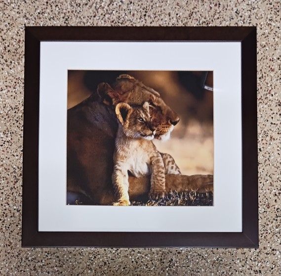 Animal Photos Lion, Giraffe, Elephant Baby & Parent