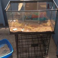 Reptile Tank