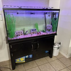60 Gallon Aquarium With Everything 