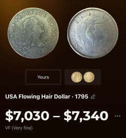 USA Flowing Hair Dollar • 1795 Coin