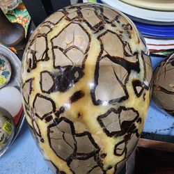 Septarian "Dragon Egg" 25#  $350.00