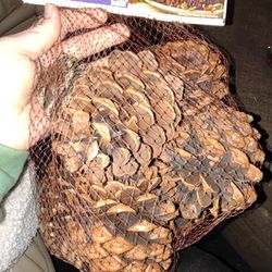 Pine Cones Decor 