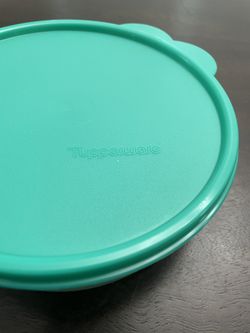 Tupperware Storage Container 