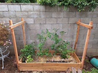 Raised Beds