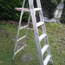 Werner 6 Ft Metal Lader