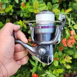 4000 Shimano Sienna