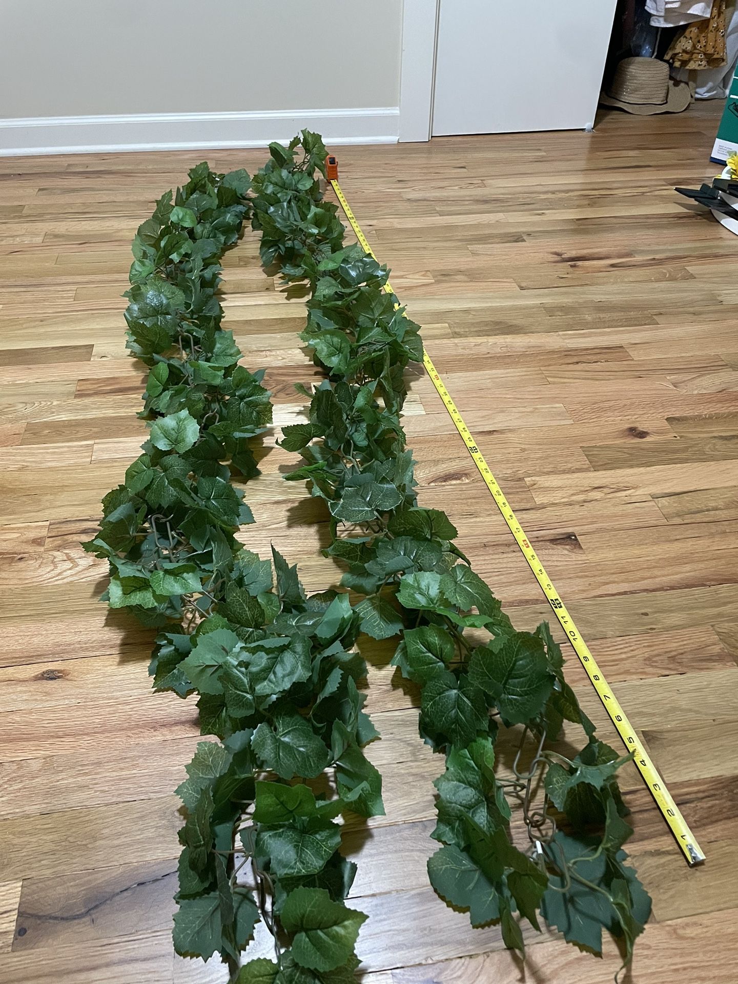 2 Ivy Runners