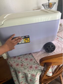 Lavender IGLOO cooler