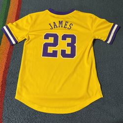 Large Lebron James Lakers Jersey