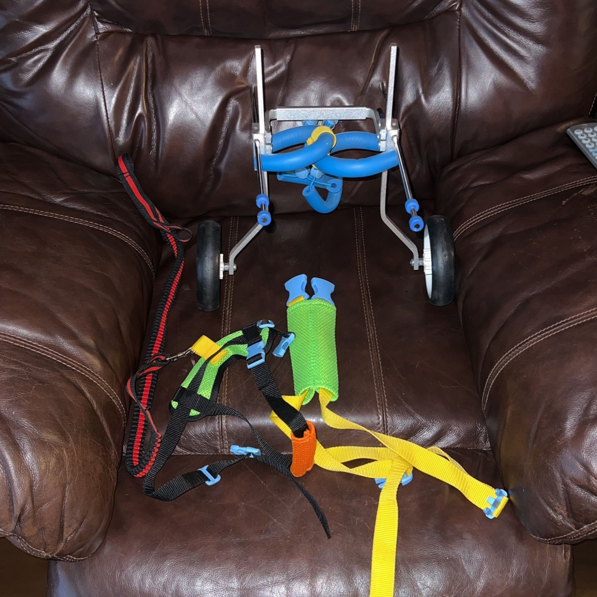 Small Dog Wheel Chair