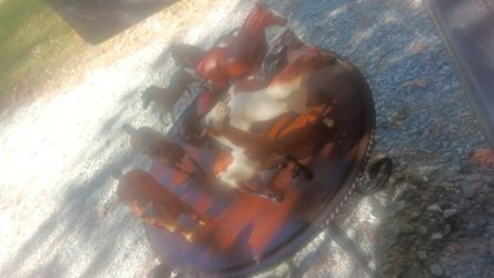 Collection Breyer Horses