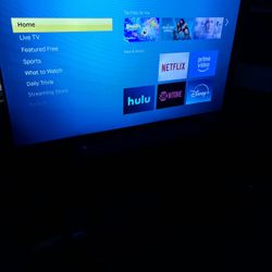 55 Inch Roku Tv