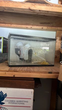 Fish Tank For Reptiles Or Gerbil