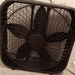 Black Fan 