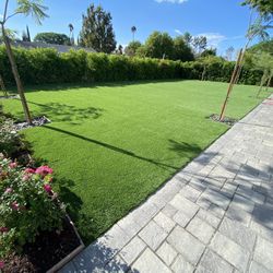 Turf 