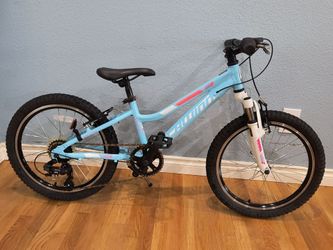 20" Schwinn Cimarron Aluminum Kids Mountain Bike