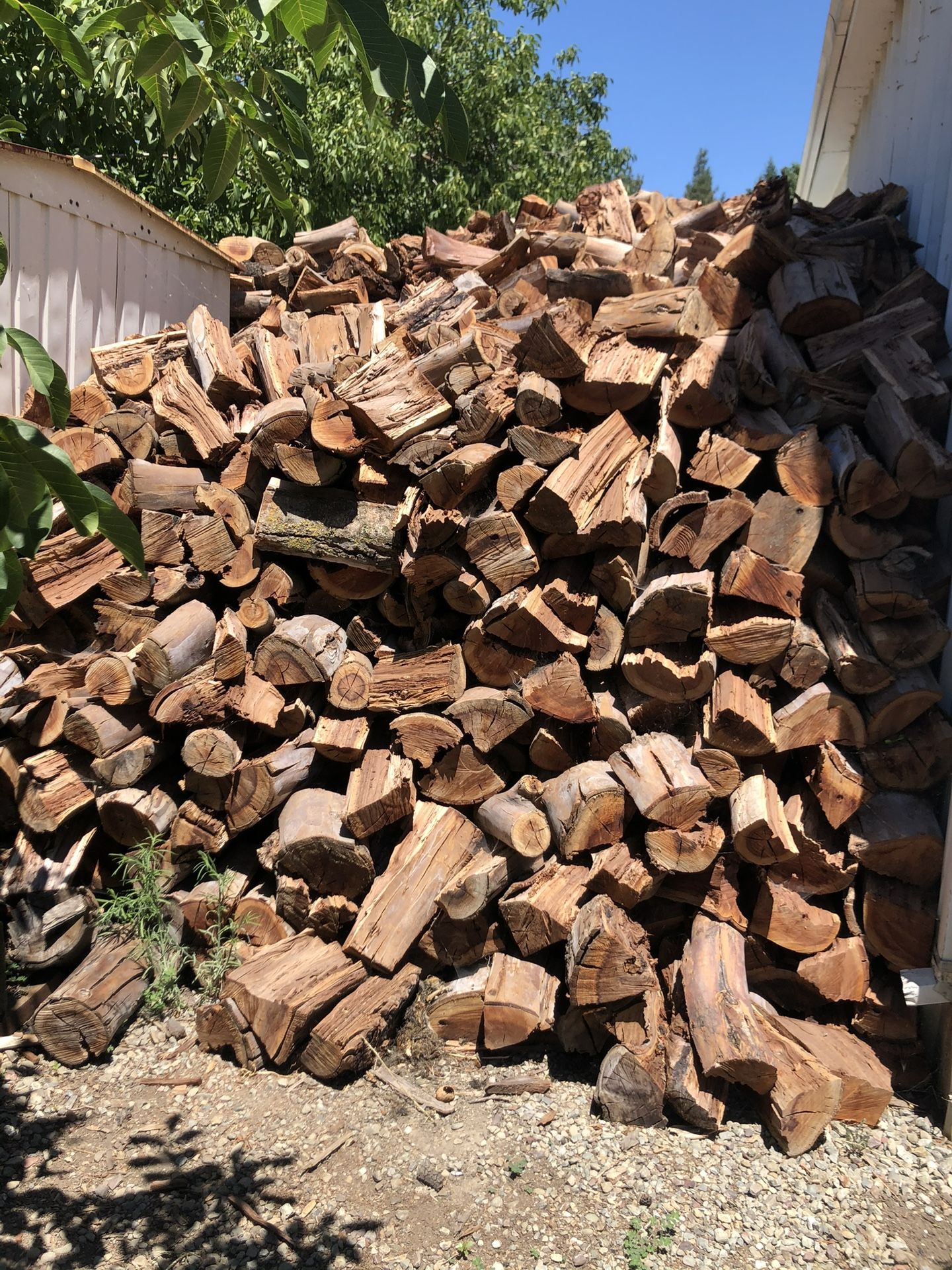 Seasoned Split Eucalyptus Firewood 🪵 🔥