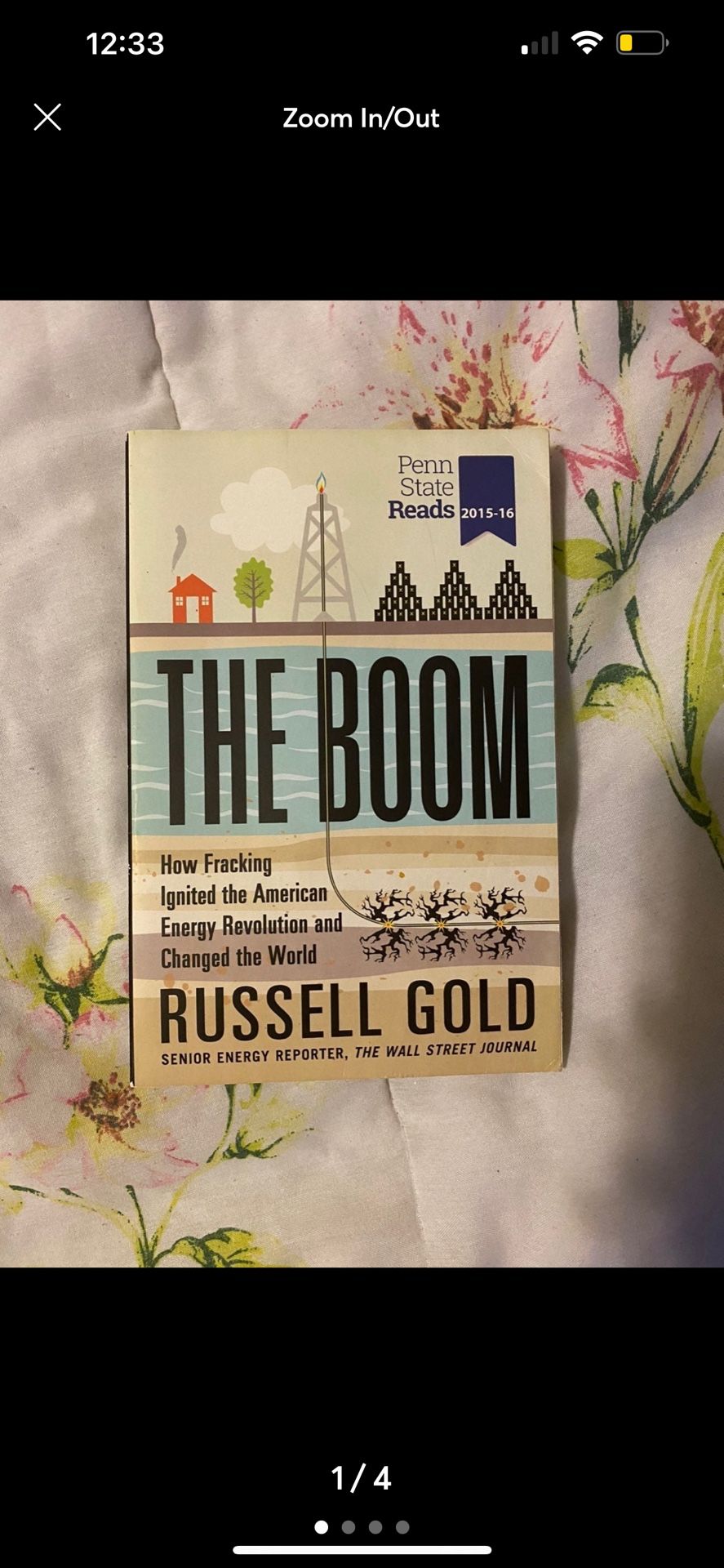 The Boom by Russell Gold