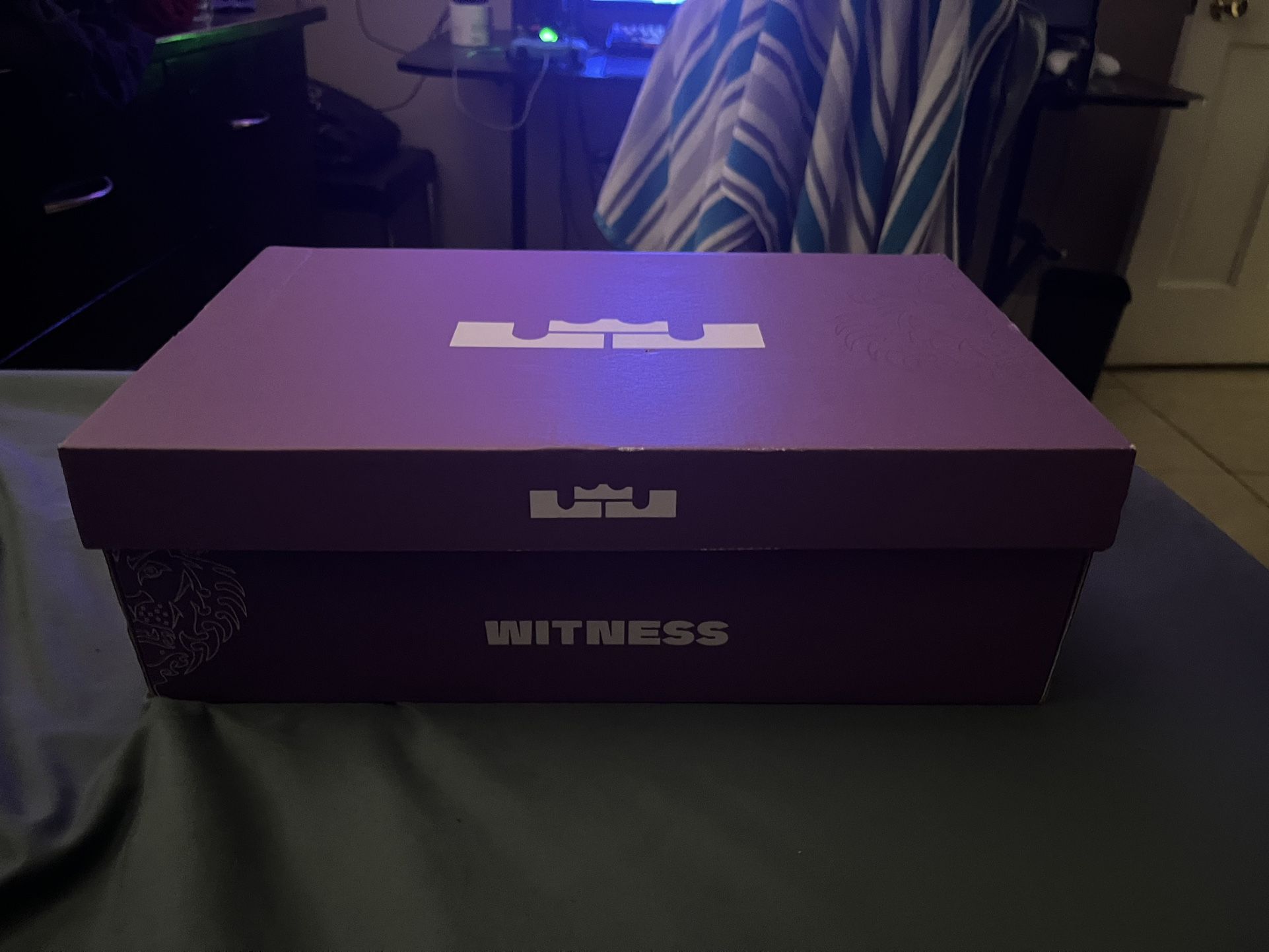 LeBron Witness VIII Size 13