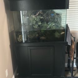 Fish Tank 55 Gallon Tall 
