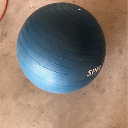 Exercise Ball