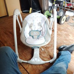 Ingenuity Infant Swing 