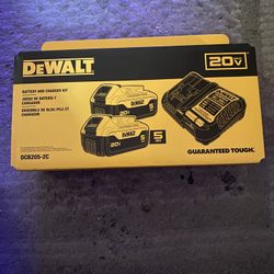 Dewalt Batteries And Charging Kit