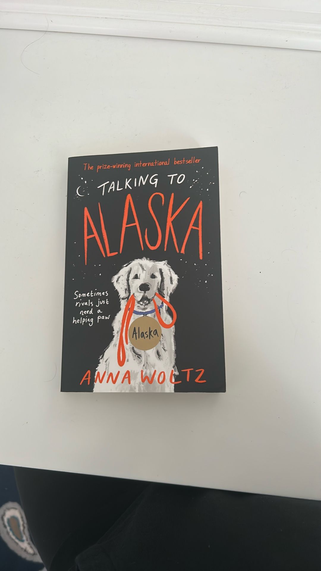 Talking To Alaska By Anna Woltz (Young Adult Fiction)