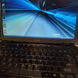 Toshiba Satellite M305-S4910 Laptop