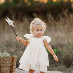 Indie Blue Fawn Dress NWT