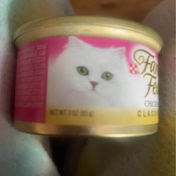 Cat food