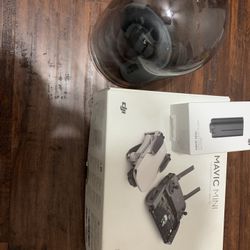 Mavic Mini