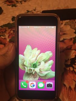 iPhone 6s Space Gray & Speck Case