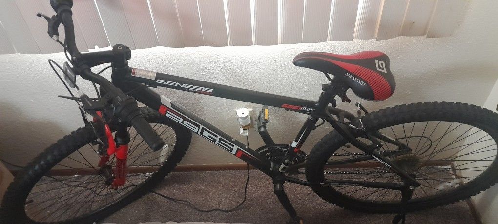 29" Men's Bike